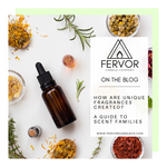 What Makes a Fragrance? A Guide to Scent Families
