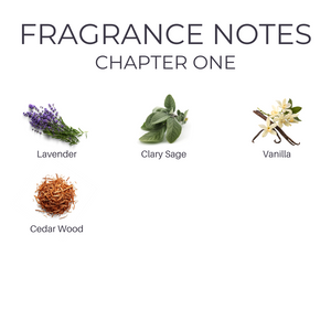 
                  
                    Chapter One Candle
                  
                