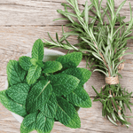 Fervor Candle Company Rosemary Mint Whipped Body Scrub