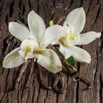 Fervor Candle Company Spiced Vanilla Room & Linen Mist